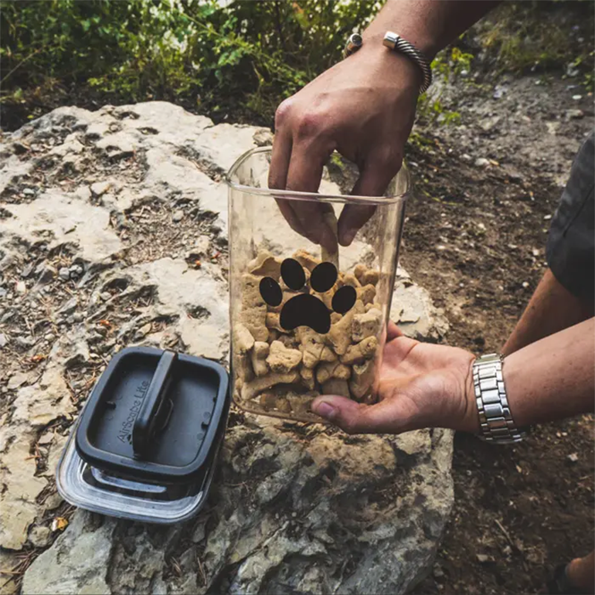 How to Store Dry Dog Food: Keep Kibble Fresh to the Last Scoop