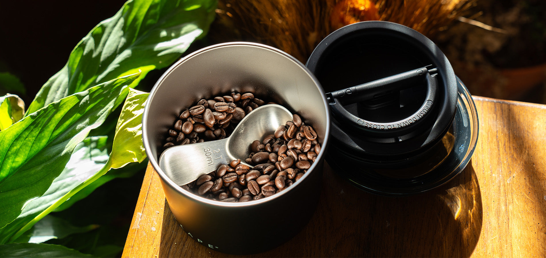 French Press Coffee to Water Ratio: The Perfect Balance