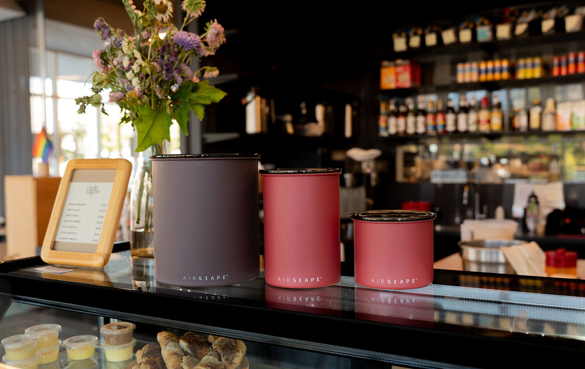 Sustainable Food Storage Containers That Actually Work