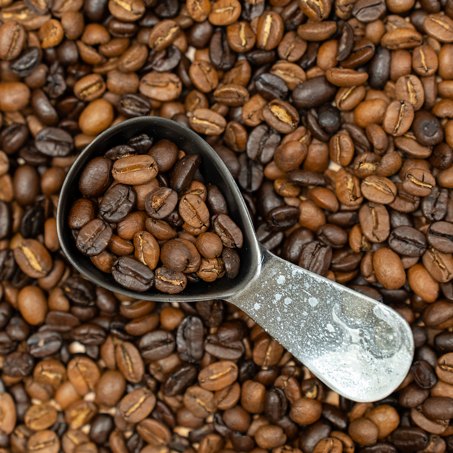 Coffee Scoop x Artist Series