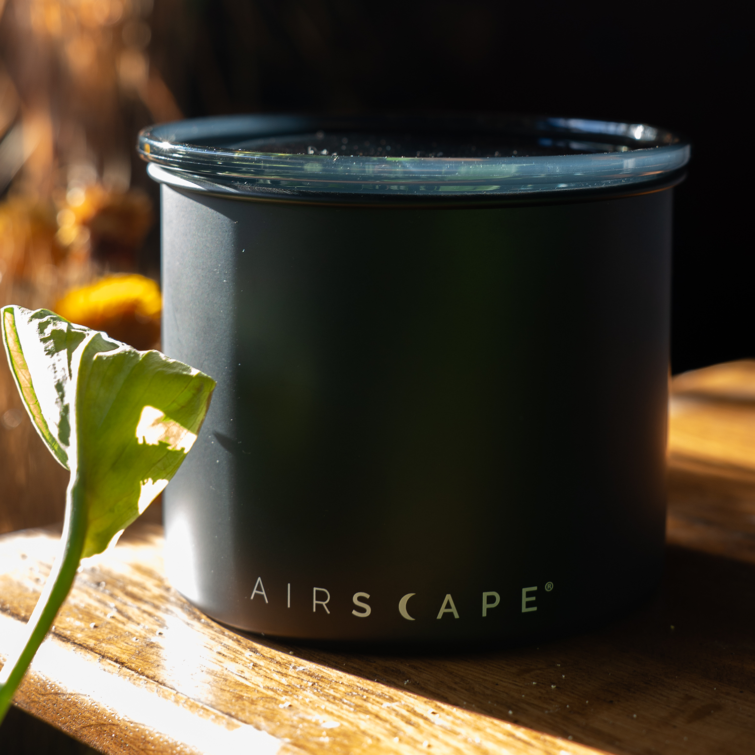 Airscape® Coffee Canister | Black 4-inch Small - Planetary Design