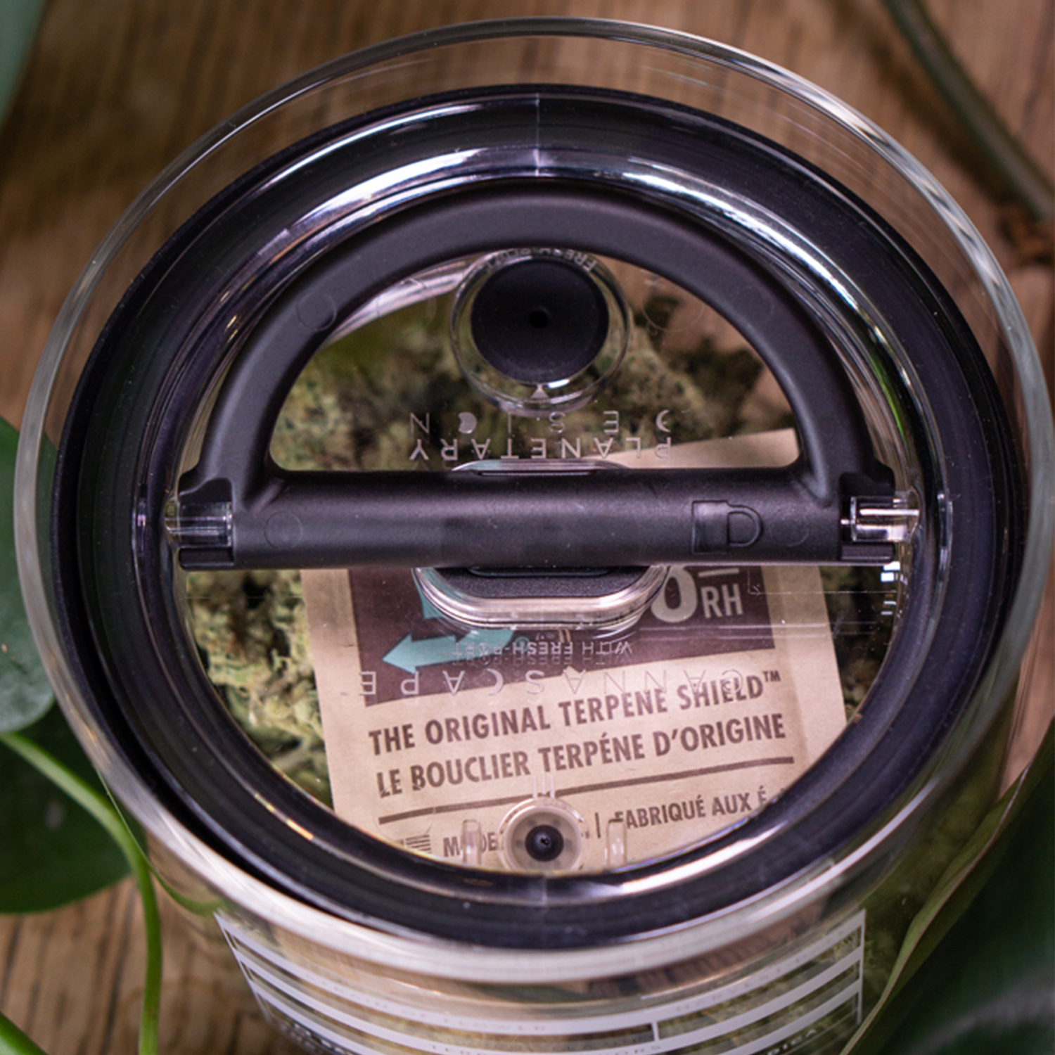 Cannascape glass stash jar 7 inch for cannabis flower