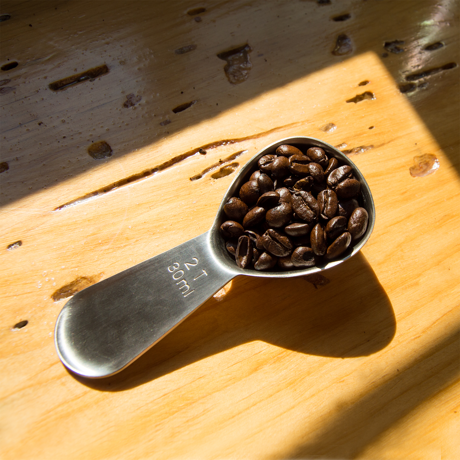 Coffee Scoop – 2 Tbsp Stainless Spoon for Brewing – Planetary Design