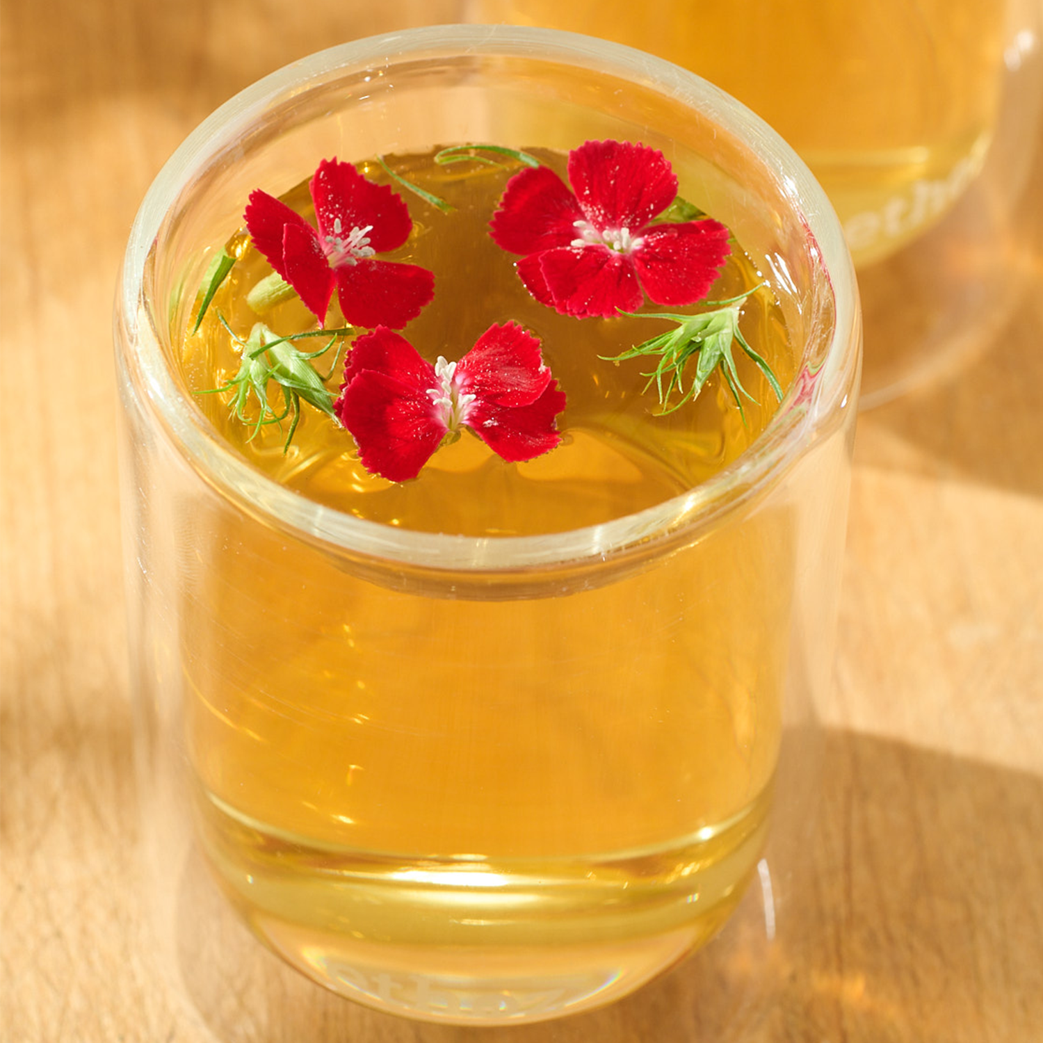 ethoz® Insulated Glass Tumblers (2-Pack) – Planetary Design