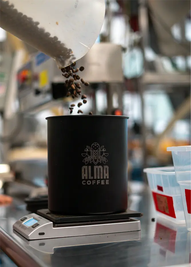 Kilo Airscape Alma Coffee