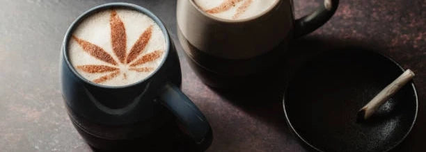 Can You Store Coffee and Cannabis Together? A Side-by-Side Storage Guide