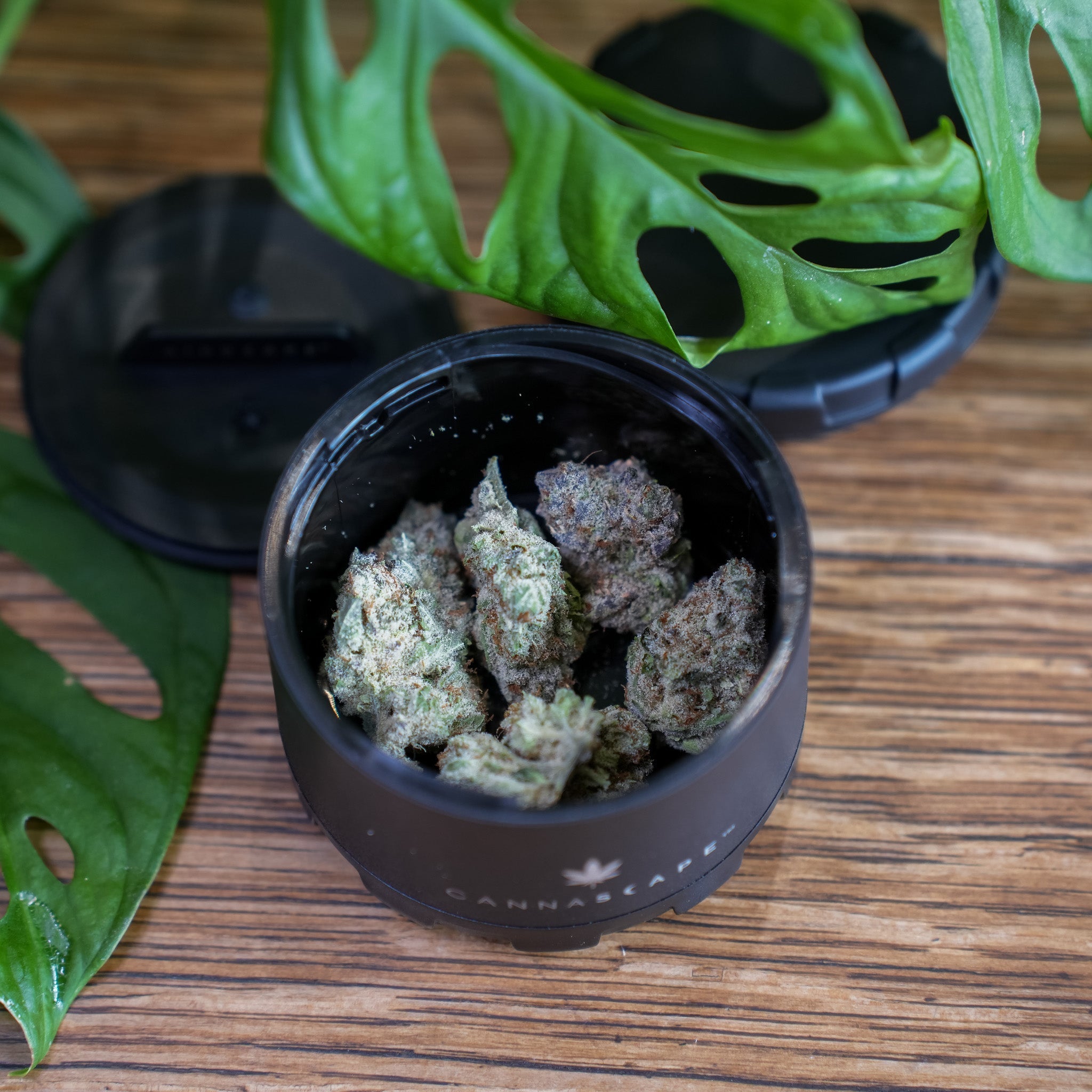 Caffeine Meets Cannabis: How to Pair Them Like a Pro