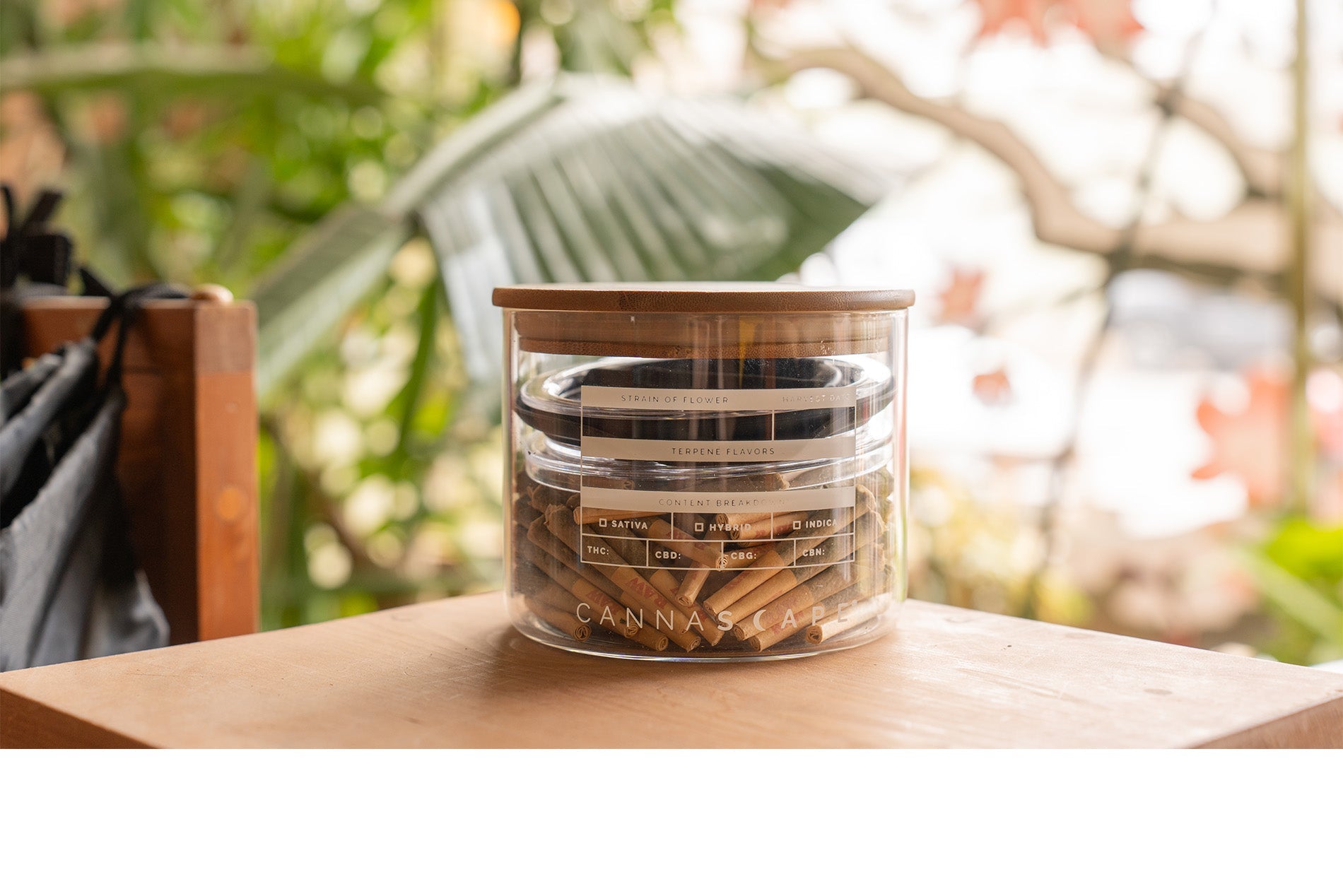 How Long Does Cannabis Stay Fresh? The 60–70°F Storage Range Explained