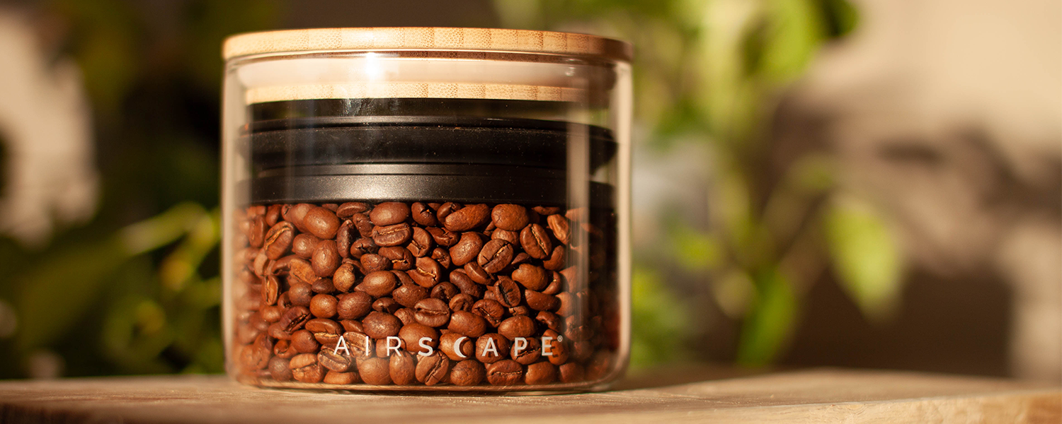 Best Airtight Coffee Containers: Expert Guide for 2026