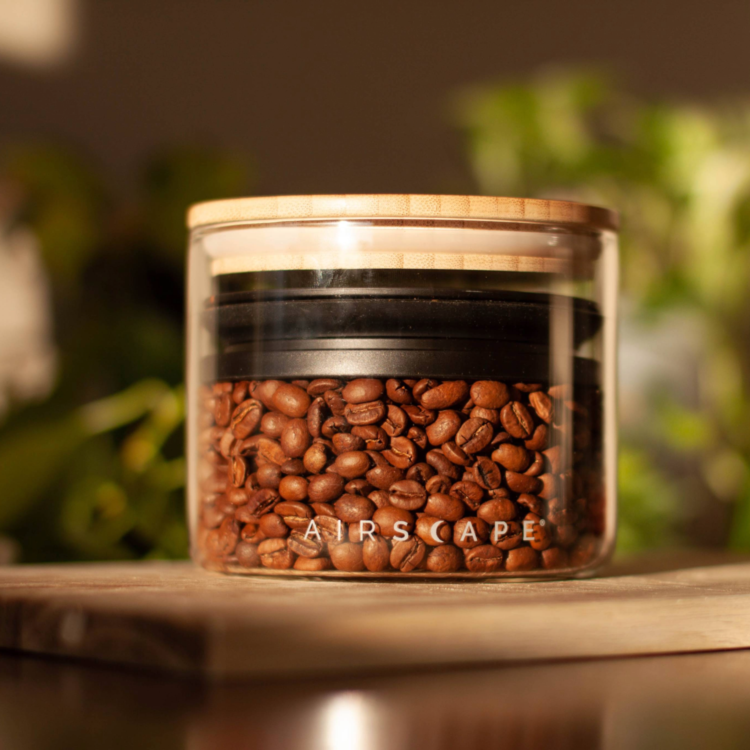 Airscape® Glass Coffee Canister – Airtight Storage – Planetary Design