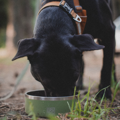 BruTrek® Dog Bowl – Planetary Design