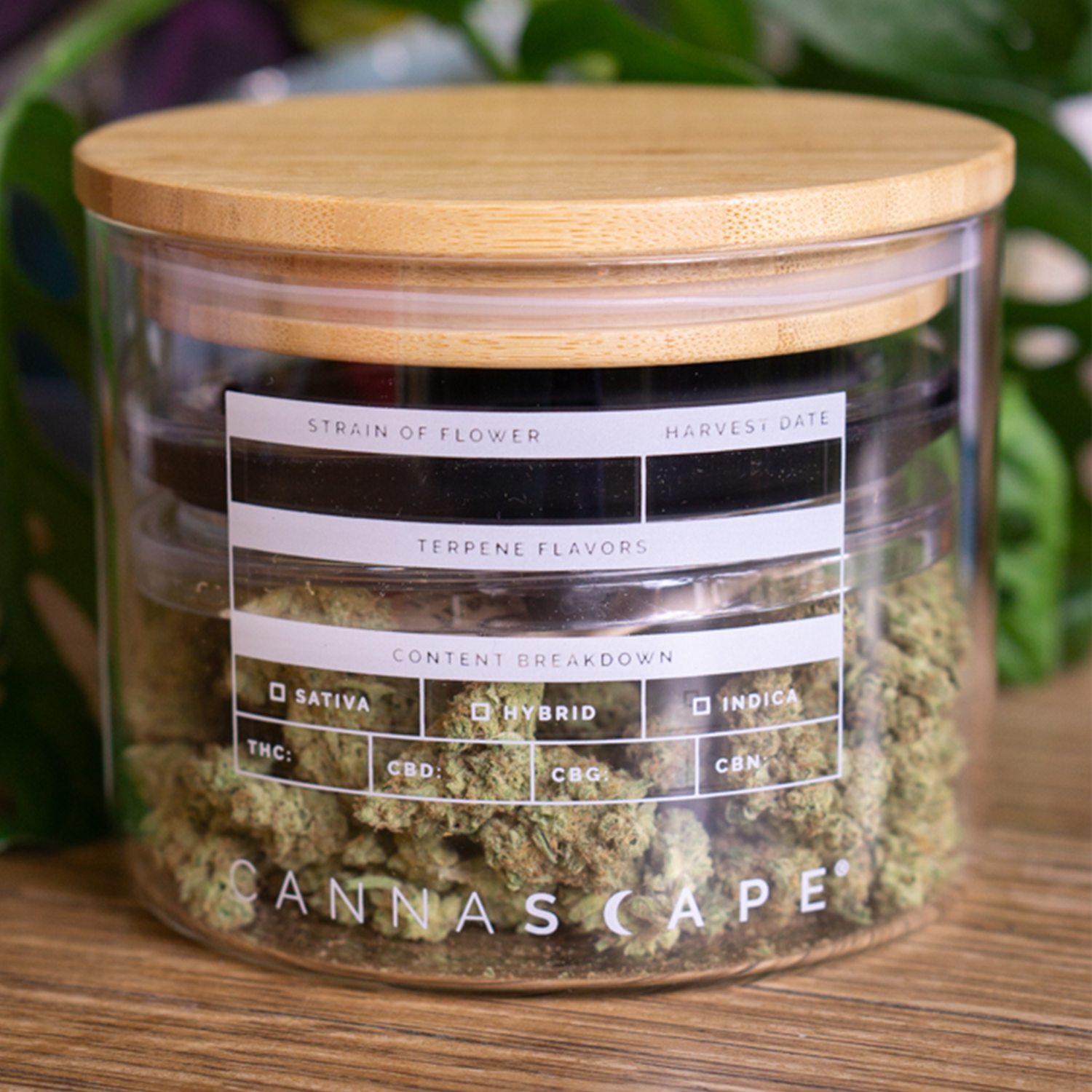 Cannascape® Stash Jar Grab Bag – 4" or 7" Glass – Planetary Design