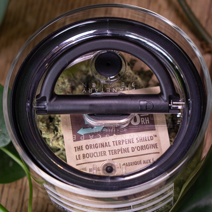 Cannascape glass stash jar 7 inch for cannabis flower

