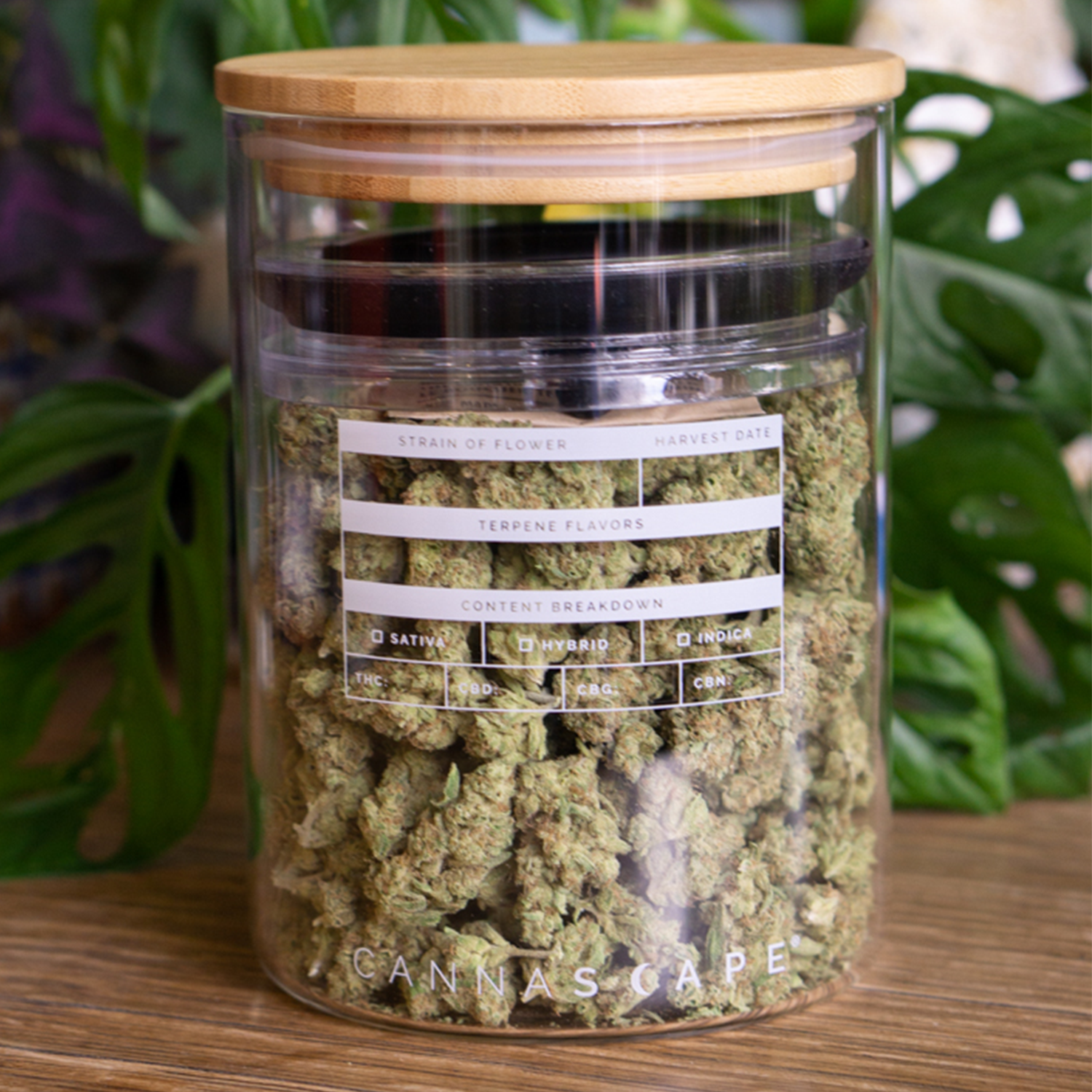 Cannascape® Stash Jar Grab Bag – 4" or 7" Glass – Planetary Design