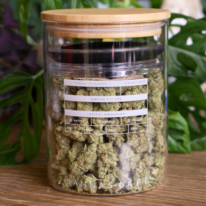 Cannascape glass stash jar 7 inch for cannabis flower

