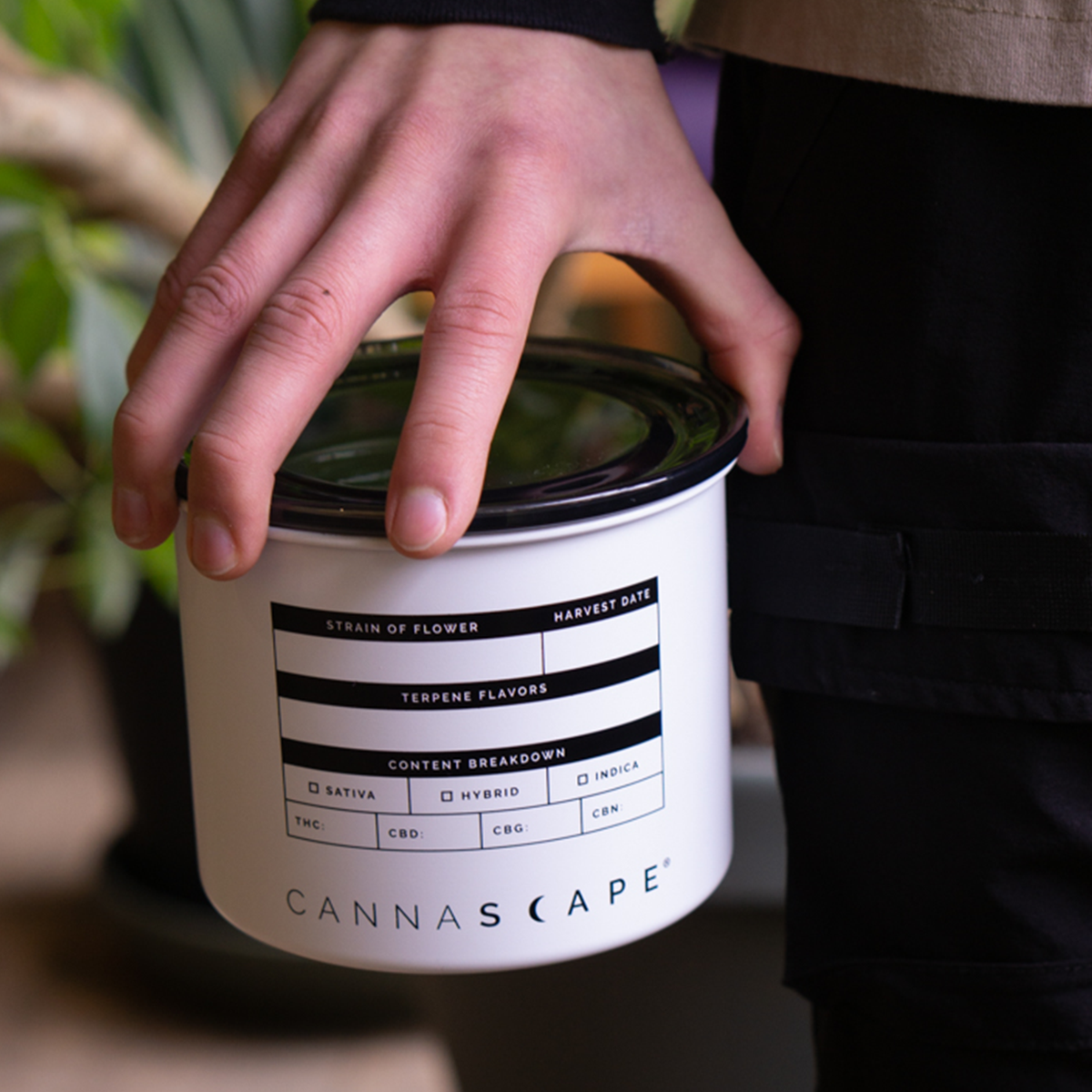 Cannascape® Stainless Jar | Airtight Weed Storage – Planetary Design