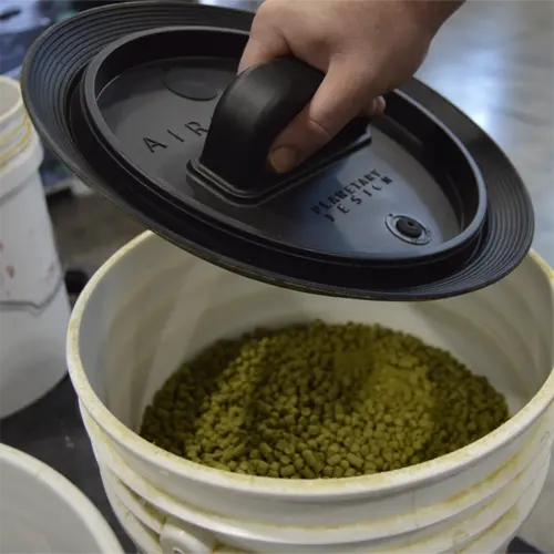 person using airscape bucket lid insert to preserve hops
