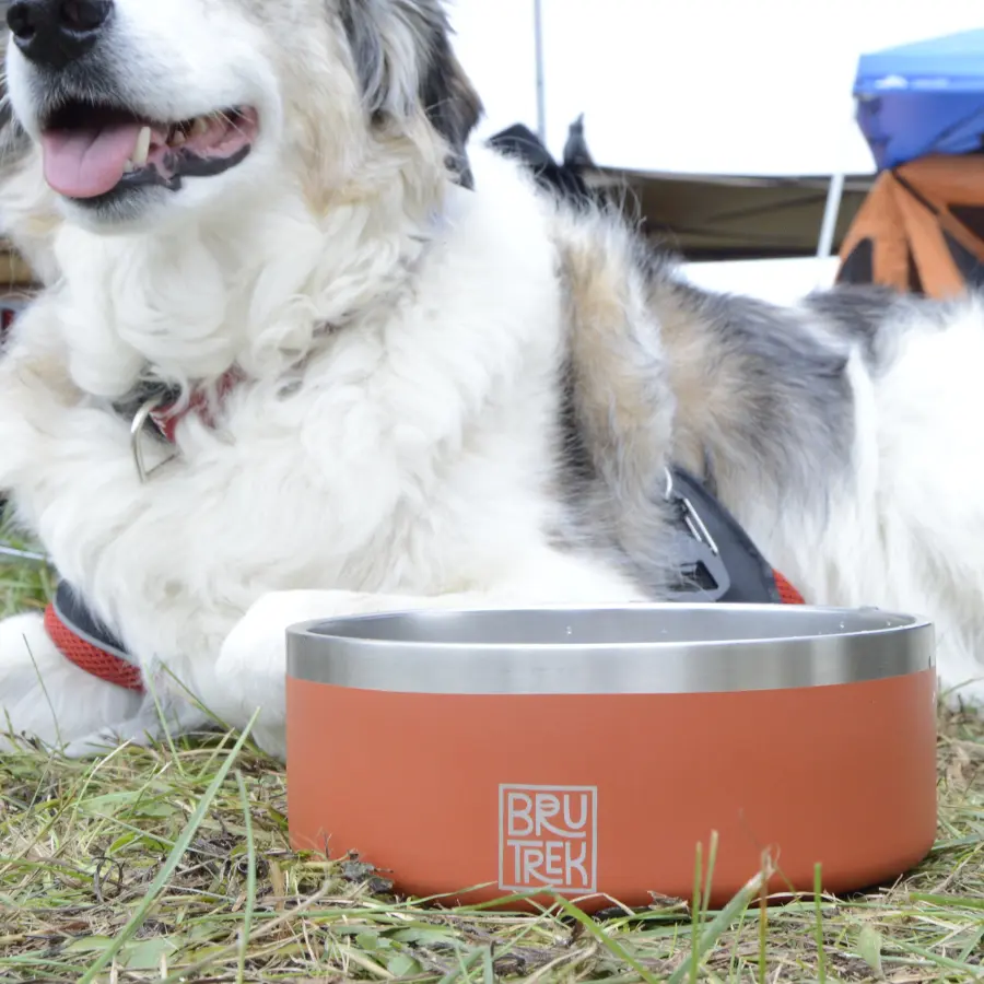 Yeti Bowl Stand 8 Cups, Yeti Bowl Holder 8 Cups, Elevated Dog Bowl