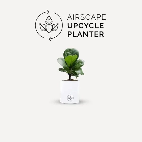 Upcycled Airscape Planter