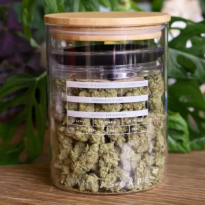 stash jar, fresh cannabis in stash jar