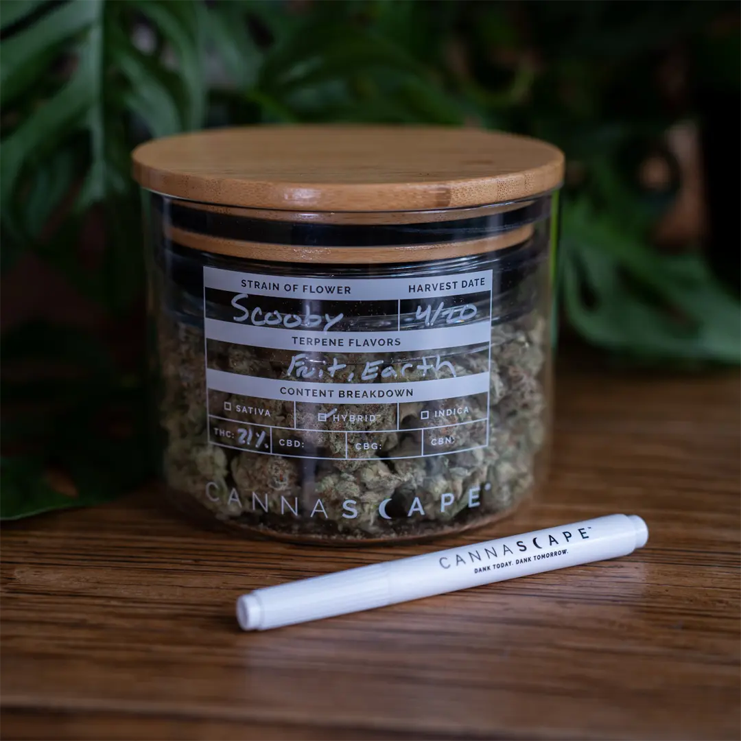 stash jar to store your weed, fresh cannabis
