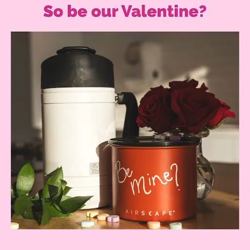 airscape sale, valentine's day gift, Camping french press